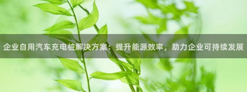 威廉希尔判断平局：企业自用汽车充电桩解决方案：提升能源效率，助力企业可持续发展