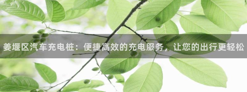 意甲威廉希尔初盘1.67 3.9 4.5：姜堰区汽车充电桩：便捷高效的充电服务，让您的出行更轻松