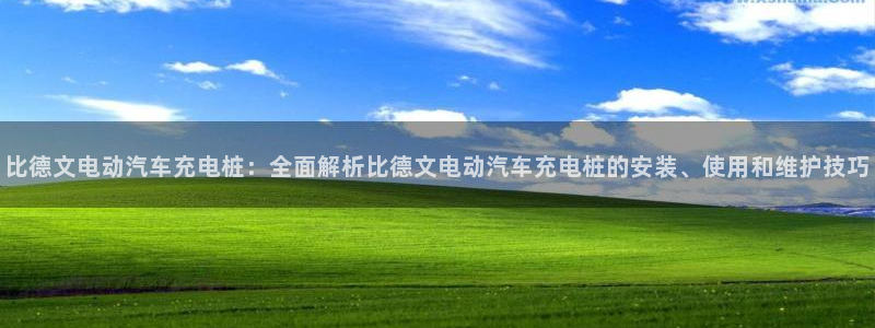 威廉比分网：比德文电动汽车充电桩：全面解