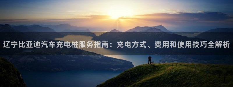 威廉客户端app下载安卓：辽宁比亚迪汽车充电桩服务指南：充电方式、费用和使用技巧全解析