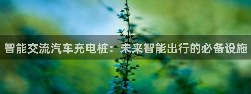 威廉希尔的分析方法2：智能交流汽车充电桩