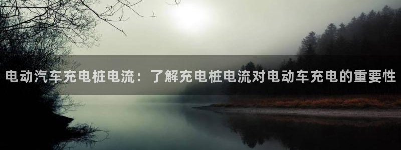 威廉希尔144初赔：电动汽车充电桩电流：
