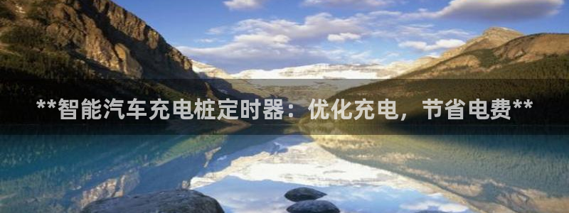 威廉娱乐百分百：**智能汽车充电桩定时器：优化充电，节省电费**