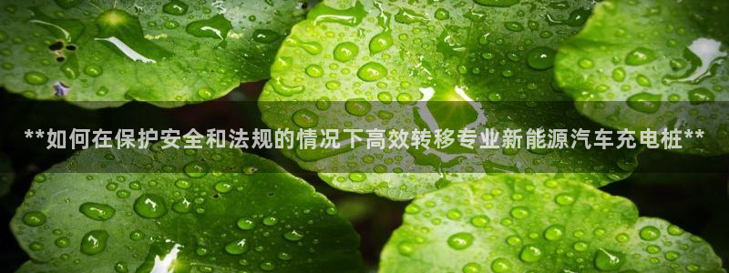威廉希尔小球准不准：**如何在保护安全和法规的情况下高效转移专业新能源汽车充电桩**