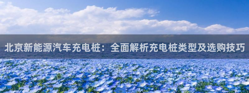 威廉国际app下载安卓：北京新能源汽车充电桩：全面解析充电桩类型及选购技巧