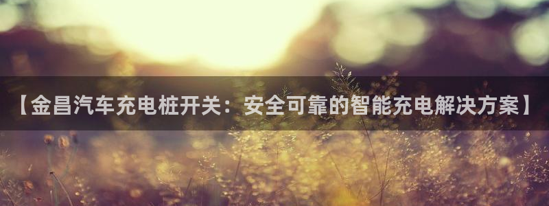 威廉希尔规律：【金昌汽车充电桩开关：安全可靠的智能充电解决方案】