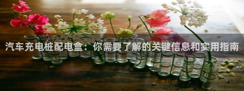 威廉希尔与立博开盘探讨：汽车充电桩配电盒
