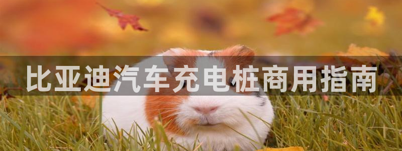 威廉cs：比亚迪汽车充电桩商用指南
