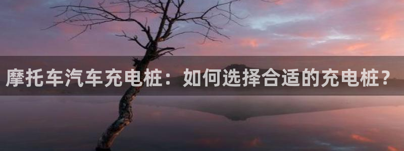 威廉希尔国内打开网址：摩托车汽车充电桩：