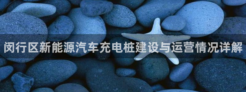 威廉希尔年销售总额：闵行区新能源汽车充电