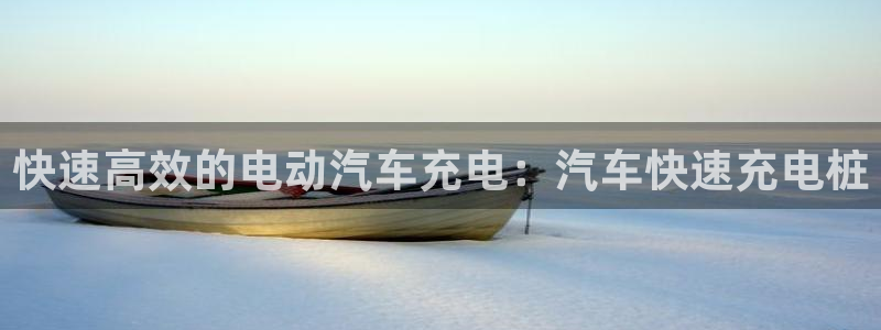 威廉希尔分析方法：快速高效的电动汽车充电：汽车快速充电桩